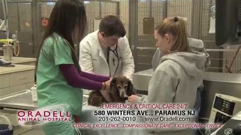 Oradell animal clinic - Specialties: Oradell Animal Hospital has been providing exceptional patient care for Northern New Jersey pets for over 60 years. We are a 24-hour facility with 60 veterinarians, including board certified specialists in internal medicine, cardiology, oncology, surgery, neurology, ophthalmology, nutrition, canine/feline practice, acupuncture, and …